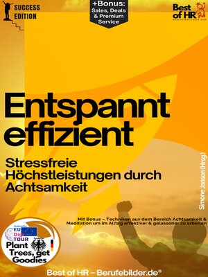 cover image of Entspannt effizient – Stressfreie Höchstleistungen durch Achtsamkeit